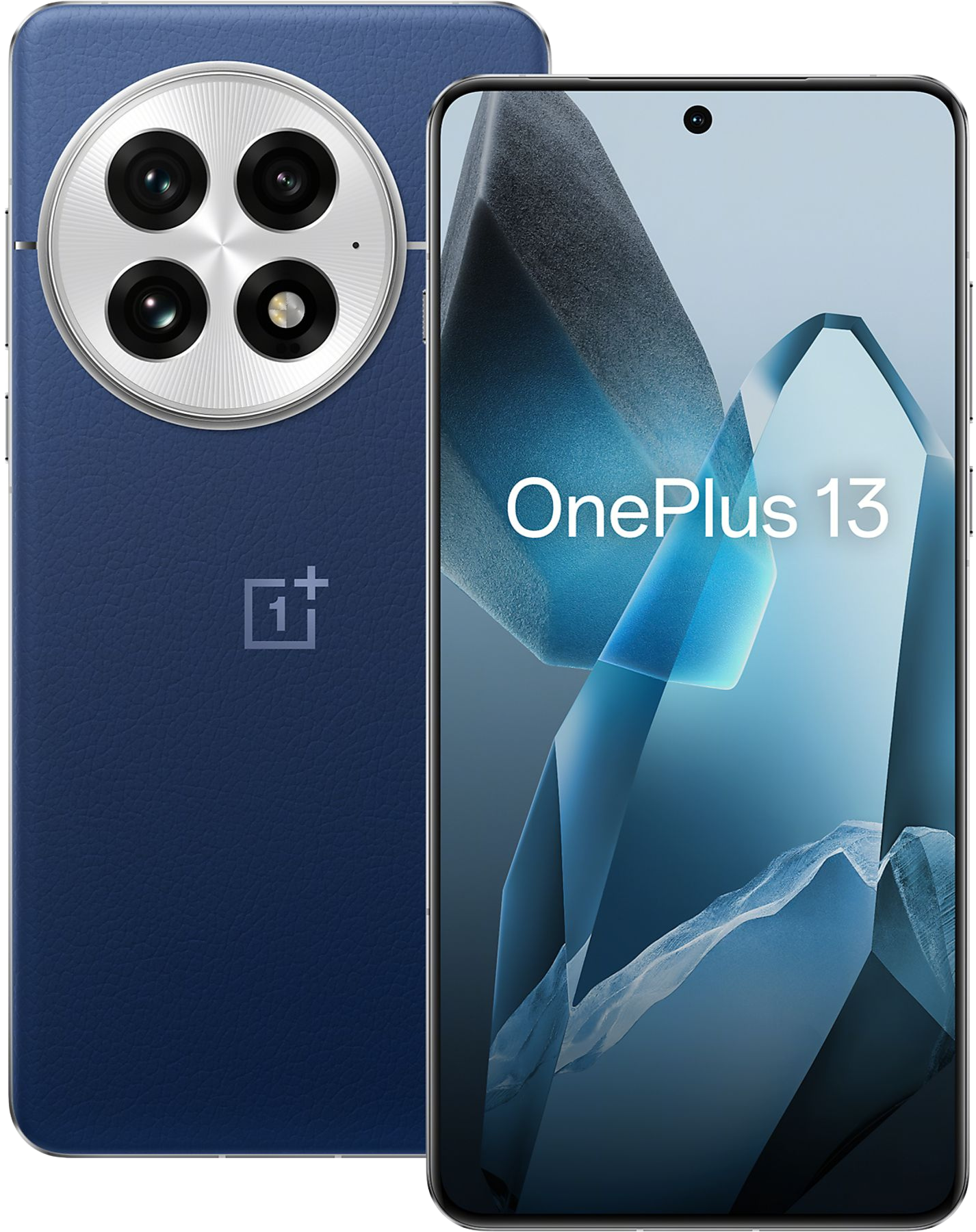 OnePlus 13 (CPH2655/CPH2653/PJZ110) Reparsjon